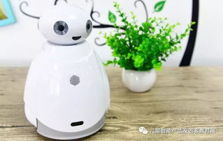 智能引领，教育先行 2018年少儿智能产品与教育机器人展揭示行业发展新篇章